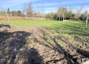 Foto 4 - Terreno agricolo via san bernardo, Chiaravalle - foto 4