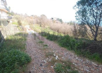 Giardino - Terreno edificabile Via Costantini
 
sn, Sant'Alfio - foto 5