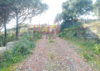 Giardino - Terreno edificabile Via Costantini
 
sn, Sant'Alfio - foto 6