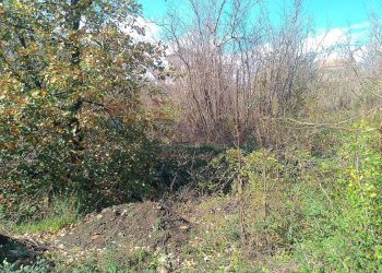 Giardino - Terreno edificabile Via Costantini
 
sn, Sant'Alfio - foto 8