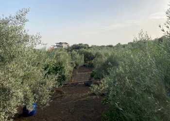 Edificio all\'aperto - Terreno agricolo contrada mangione, Misterbianco - foto 7