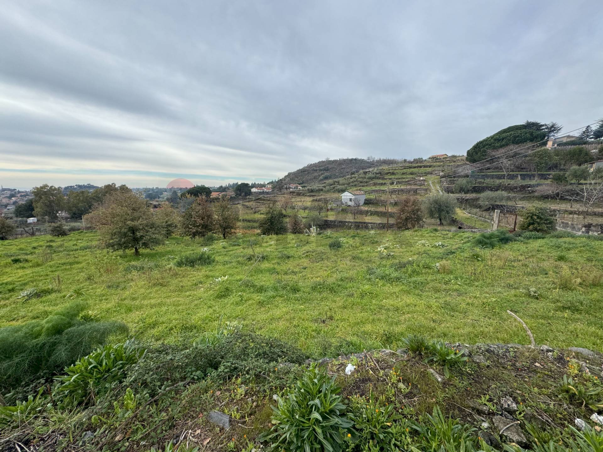 Vista delle montagne - Terreno agricolo Via Ronzini
 
63, Trecastagni - foto 1