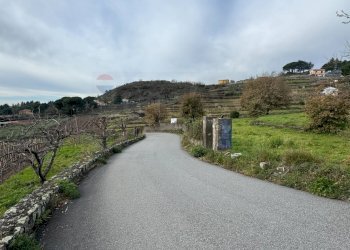 Vista dell\'acqua - Agricultural land Via Ronzini
63, Trecastagni - photo 14