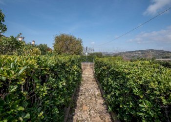 Giardino - Villa contrada malcristiano, Piazza Armerina - foto 45