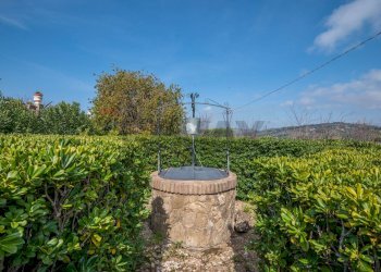 Giardino - Villa contrada malcristiano, Piazza Armerina - foto 46