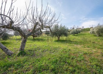 Giardino - Villa contrada malcristiano, Piazza Armerina - foto 51