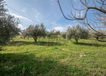 Giardino - Villa contrada malcristiano, Piazza Armerina - foto 52