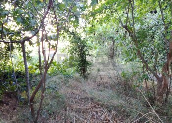 Giardino - Casa indipendente Via Acquedotto Greco
 
230, Catania - foto 2