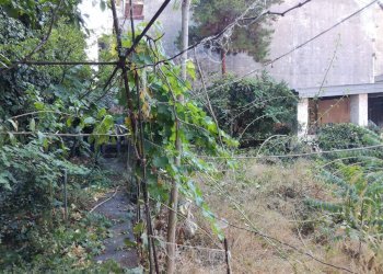 Giardino - Casa indipendente Via Acquedotto Greco
 
230, Catania - foto 9