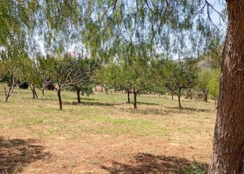 Giardino - Villa contrada ferrante, Aidone - foto 28