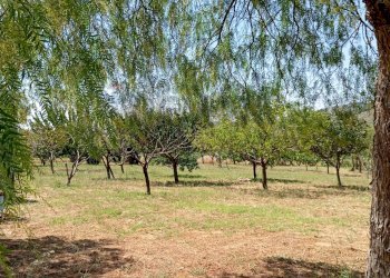 Giardino - Villa contrada ferrante, Aidone - foto 30