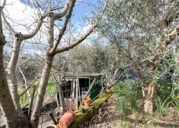 Giardino - Quadrilocale Via la croce
 
41, Monte San Vito - foto 27