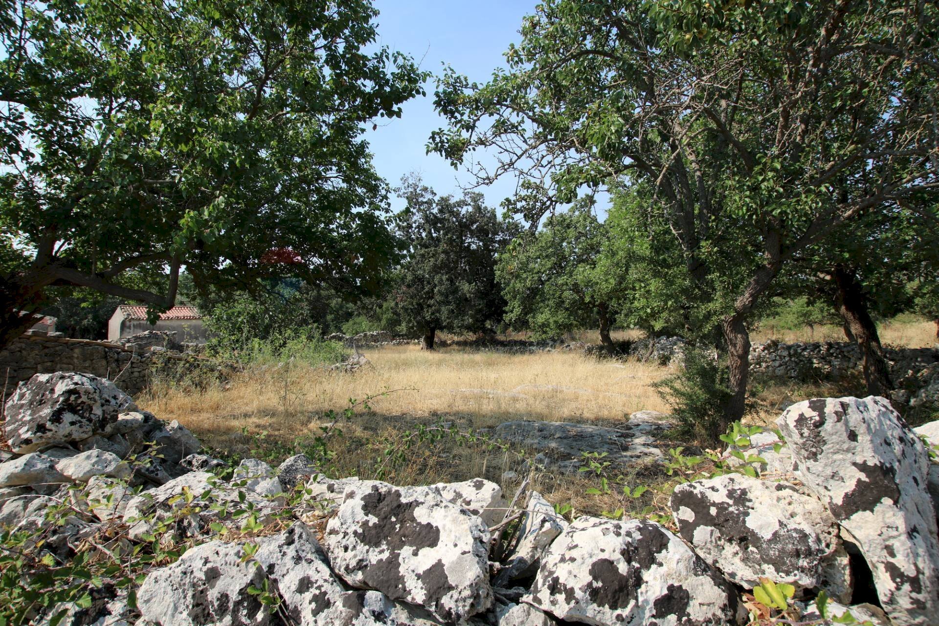 Giardino - Rustico CONTRADA MEZZO GREGORIO
 
SNC, Noto - foto 2