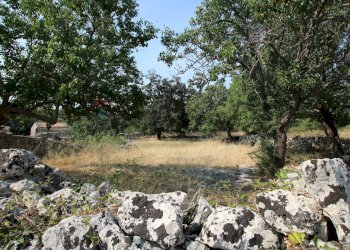 Giardino - Rustico CONTRADA MEZZO GREGORIO
 
SNC, Noto - foto 2