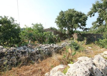 Giardino - Rustico CONTRADA MEZZO GREGORIO
 
SNC, Noto - foto 4