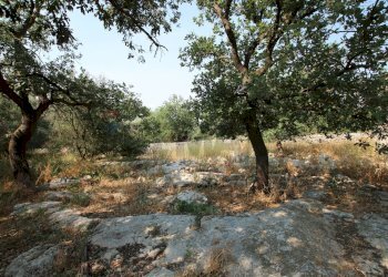 Giardino - Rustico CONTRADA MEZZO GREGORIO
 
SNC, Noto - foto 18