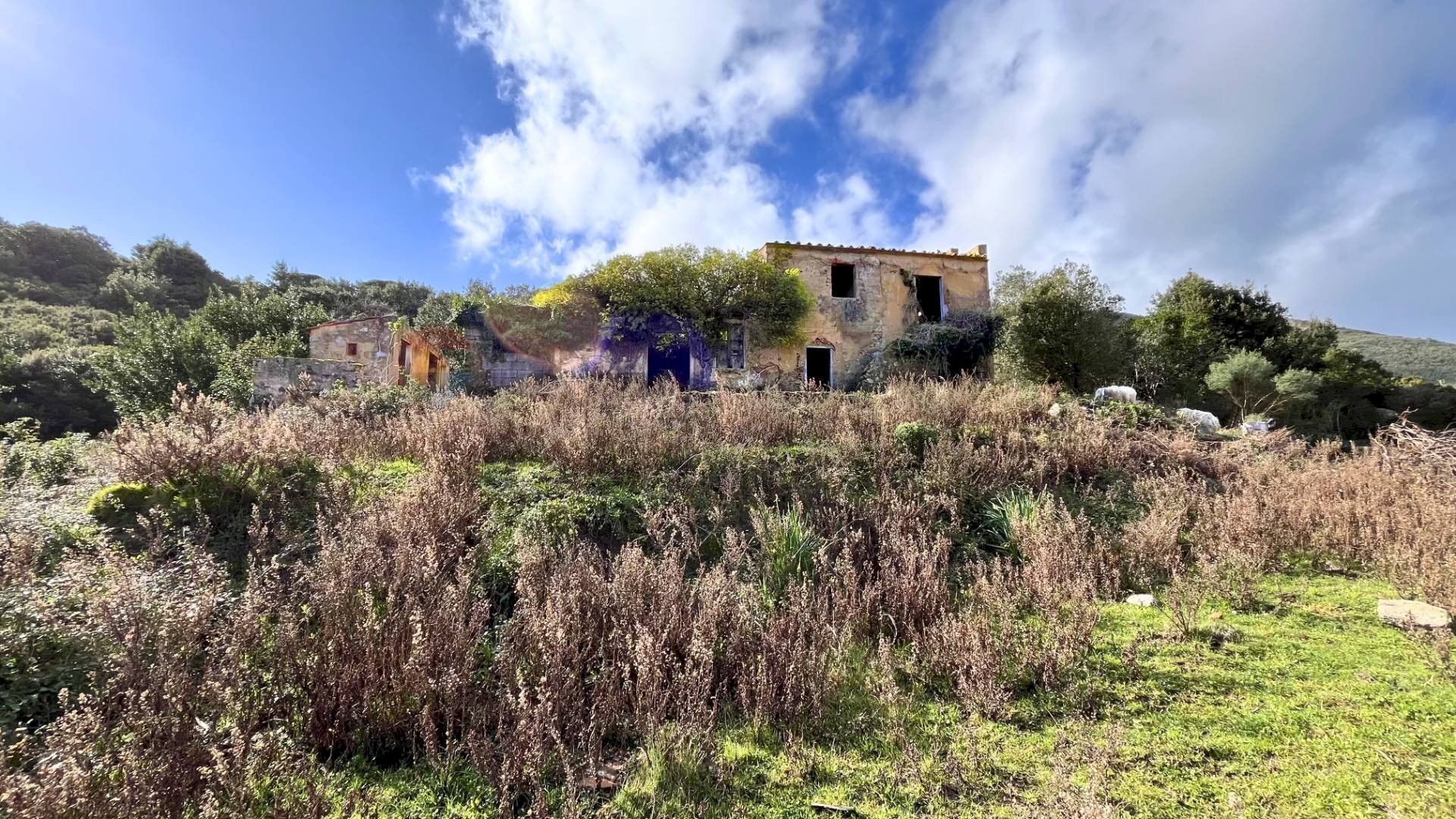 Vista delle montagne - Casa indipendente Campo nell'Elba - foto 2