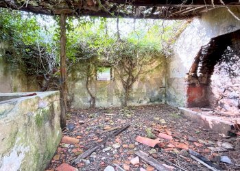 Giardino - Casa indipendente Campo nell'Elba - foto 14