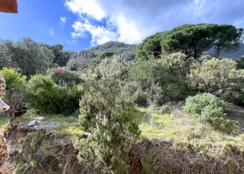 Vista delle montagne - Casa indipendente Campo nell'Elba - foto 16