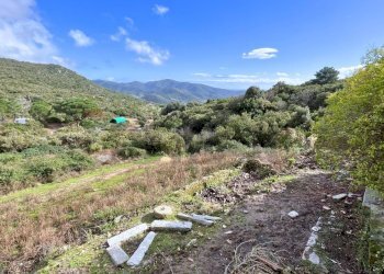 Vista delle montagne - Casa indipendente Campo nell'Elba - foto 17