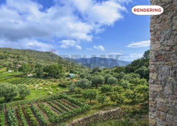 Vista delle montagne - Casa indipendente Campo nell'Elba - foto 18