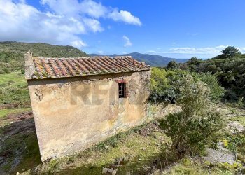Casa all\'aperto - Casa indipendente Campo nell'Elba - foto 22