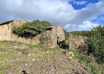 Casa all\'aperto - Casa indipendente Campo nell'Elba - foto 23