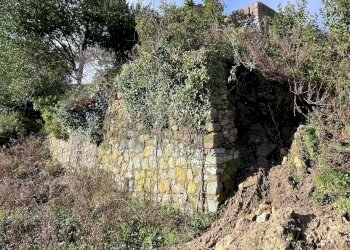 Giardino - Casa indipendente Campo nell'Elba - foto 25