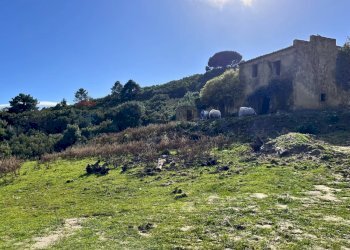 Vista delle montagne - Casa indipendente Campo nell'Elba - foto 26