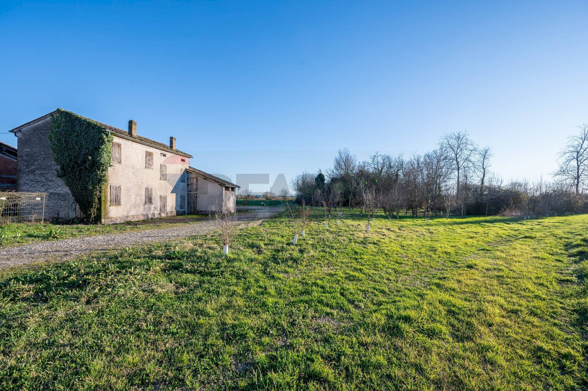 Giardino - Rustico Via Argine Oglio
 
34, Viadana - foto 2
