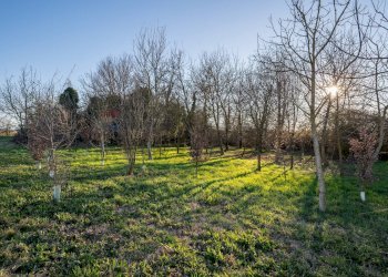 Giardino - Rustico Via Argine Oglio
 
34, Viadana - foto 18