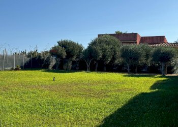 Giardino - Casa indipendente Pachino - foto 1