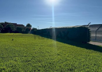 Giardino - Casa indipendente Pachino - foto 7