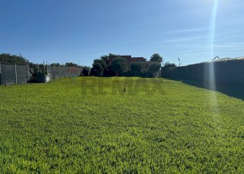 Giardino - Casa indipendente Pachino - foto 8