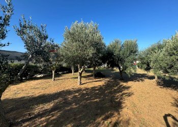 Giardino - Casa indipendente Pachino - foto 18