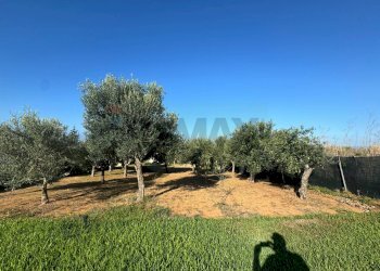 Giardino - Casa indipendente Pachino - foto 20