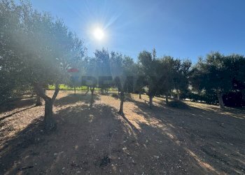 Giardino - Casa indipendente Pachino - foto 21