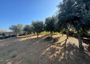 Giardino - Casa indipendente Pachino - foto 22