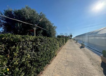 Giardino - Casa indipendente Pachino - foto 23