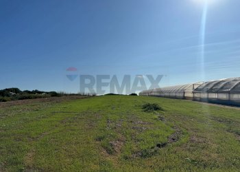 Giardino - Casa indipendente Pachino - foto 30