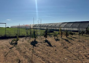 Vista delle montagne - Casa indipendente Pachino - foto 31