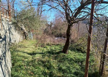 Giardino - Casa semi indipendente Via Resii
 
4, Pallare - foto 16