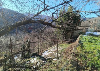 Vista delle montagne - Casa semi indipendente Via Resii
 
4, Pallare - foto 17