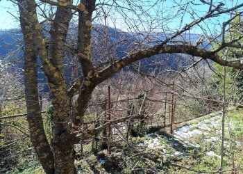 Vista delle montagne - Casa semi indipendente Via Resii
 
4, Pallare - foto 18