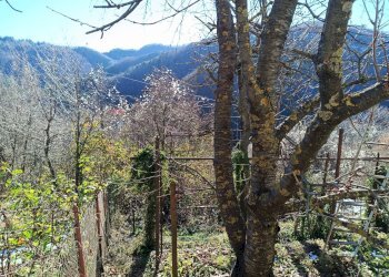 Vista delle montagne - Casa semi indipendente Via Resii
 
4, Pallare - foto 19