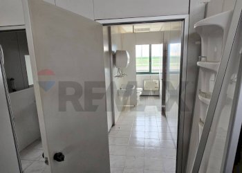 Hall / corridoio - Capannone Via alighieri
 
40, Riva del Po - foto 7