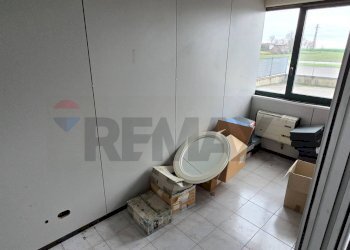 Bagno - Capannone Via alighieri
 
40, Riva del Po - foto 13