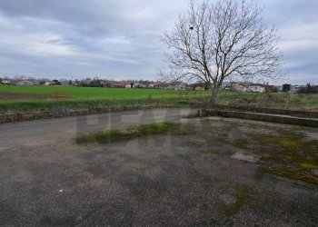 Giardino - Capannone Via alighieri
 
40, Riva del Po - foto 14