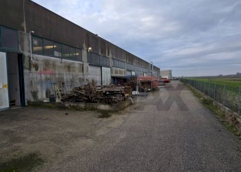 Edificio all\'aperto - Capannone Via alighieri
 
40, Riva del Po - foto 17