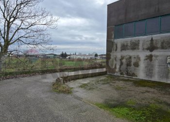 Casa all\'aperto - Capannone Via alighieri
 
40, Riva del Po - foto 20